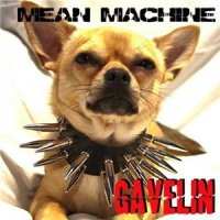 Gavelin - Mean Machine (2011)