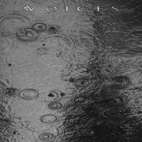 Voices - From The Human Forest Create A Fugue Of Imaginary Rain (2013)