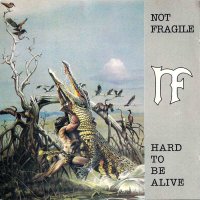 Not Fragile - Hard To Be Alive (1992)