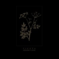 Cicuta - Apiaceae & Algae (2014)