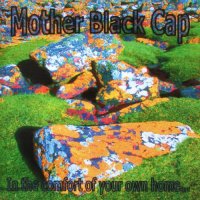 Mother Black Cap - In The Comfort Of Your Own Home (2006)  Lossless