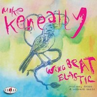 Mike Keneally - Wing Beat Elastic: Remixes, Demos and Unheard Music (2013)