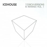 Icehouse - 12 Inch Versions & Remixes Vol.2 (2013)