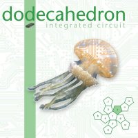 Dodecahedron - Integrated Circuit (2015)
