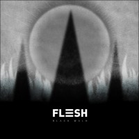 Flesh - Black Walk (  EP ) (2015)  Lossless