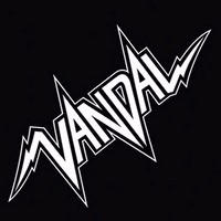 Vandal - You Want It You Got It! (2013)