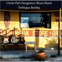 Pat O\'Bryan - Uncle Pat\'s Imaginary Blues Band: Terlingua Bootleg (2015)