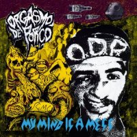 Orgasmo De Porco - My Mind Is A Mess (2013)