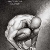 Die With You - The Remixes 2009 - 2014 (2014)