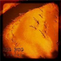 Big Bug - Broken (2014)