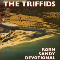 The Triffids - Born Sandy Devotional (1986)