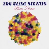 The Wild Swans - Space Flower [2008 Reissue] (1990)