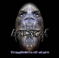 HateDotCom - Fragments Of Scare (2012)