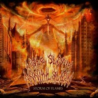 Hate Storm Annihilation - Storm Of Flames (2014)