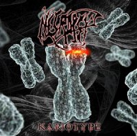 Necropsy - Kariotype (2010)