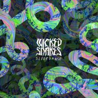 Wicked Snakes - Sleep Dance (2014)