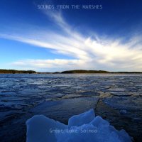 Sounds From The Marshes - Great Lake Saimaa (2014)