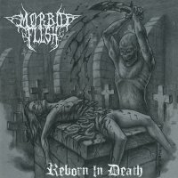 Morbid Flesh - Reborn In Death (2011)  Lossless