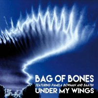 Bag Of Bones - Under My Wings (2016)