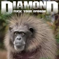 Diamond - Fuck Your Opinion (2014)