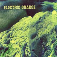 Electric Orange - Netto (2011)  Lossless