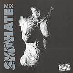 Skinhate - Hatemix (2004)  Lossless