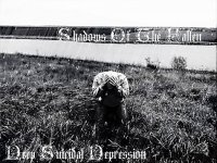 Shadows Of The Fallen - Deep Suicidal Depression (2012)