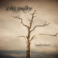 A Big Goodbye - Sounds & Silences (2011)