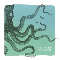 Delta Sleep - Twin Galaxies (2015)