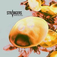 Strangers - Mirrorland (2017)