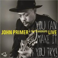 John Primer & The Teardrops - You Can Make It If You Try (2014)