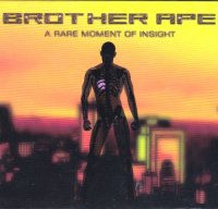 Brother Ape - A Rare Moment Of Insight (2010)  Lossless