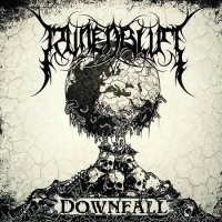 Runenblut - Downfall (2014)