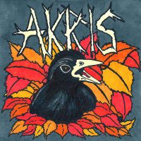 Akris - Fall (2015)