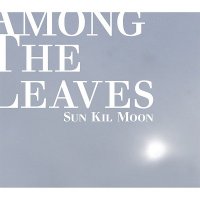 Sun Kil Moon - Among The Leaves (Limited Edition) (2012)