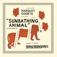 Parquet Courts - Sunbathing Animal (2014)