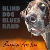 Blind Dog Blues Band - Burnin\' For You (2013)