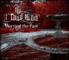 All I Could Bleed - Burying The Past (2011)
