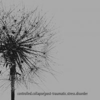 Controlled Collapse - |post​-​traumatic​.​stress​.​disorder| (2017)