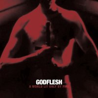 Godflesh - A World Lit Only By Fire (2014)