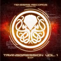 VA - Transgression vol. 1: Exp (2016)