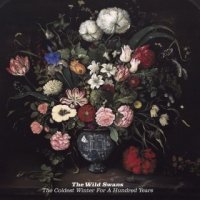 The Wild Swans - The Coldest Winter for a Hundred Years (2011)