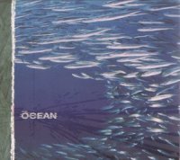 The Ocean - Fluxion (2004)