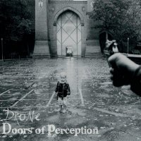 Drone - Doors Of Perception (2012)