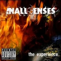 InAllSenses - The Experience (2008)