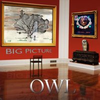 Owl - Big Picture (2014)