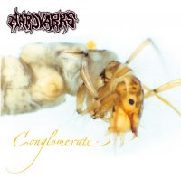 Aardvarks - Conglomerate (Compilation) (2002)