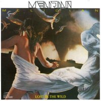 Melidian - Lost In The Wild (1989)