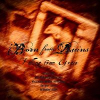 Born From Ruins - Falling From Grace (2014)