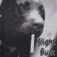 Slight Buzz - Slight Buzz (2016)